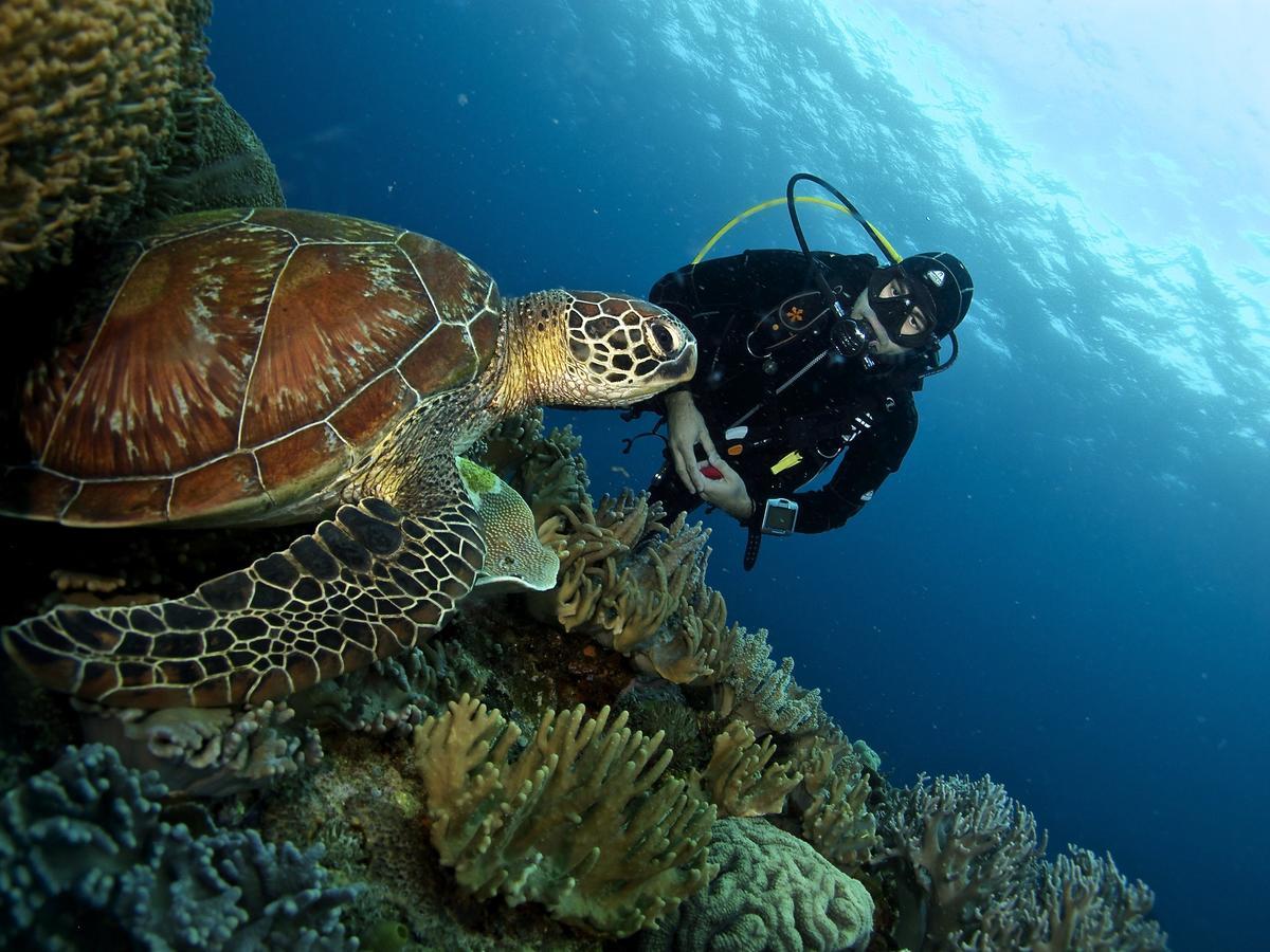 Liquid Dive Resort Dauin Εξωτερικό φωτογραφία