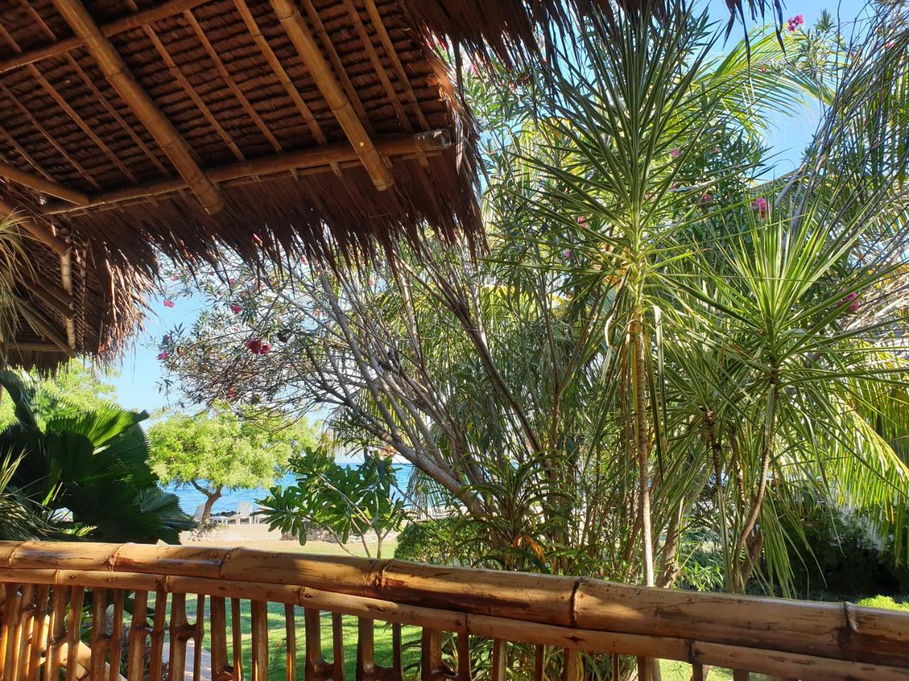 Liquid Dive Resort Dauin Εξωτερικό φωτογραφία